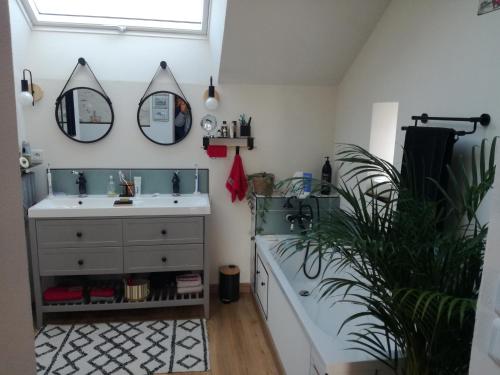 une salle de bain avec un lavabo et un miroir dans l'établissement Chambres à la campagne, à Requeil