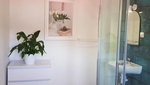 a bathroom with a sink and a mirror and a plant at Apartamenty „Nad Popradem” in Rytro