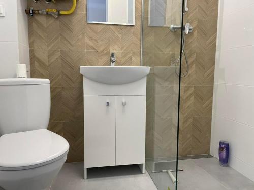 La salle de bains est pourvue de toilettes, d'un lavabo et d'une douche. dans l'établissement 3K Popiełuszki 27, à Lublin