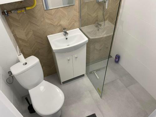 La salle de bains est pourvue de toilettes, d'une douche et d'un lavabo. dans l'établissement 3K Popiełuszki 27, à Lublin