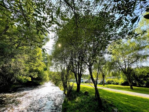 un río en un parque con árboles y césped en Roulotte - Camping l'Eau Vive en Martelange