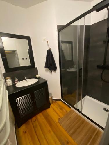 La salle de bains est pourvue d'un lavabo et d'une douche. dans l'établissement Lou Magnan, à LʼIsle-sur-la-Sorgue