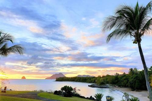 a view of a beach with palm trees and the ocean at Studio "Prestige" Sainte Luce" Adult Only in Sainte-Luce
