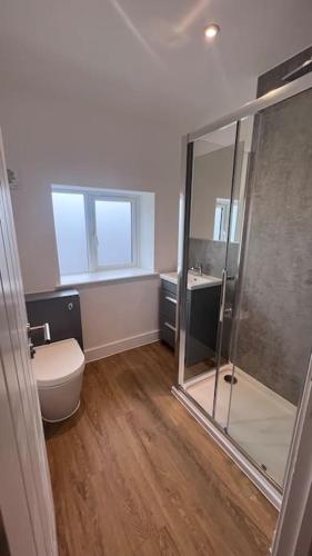 a bathroom with a toilet and a shower and a sink at Filton 6 BDR House for contractors & families. in Bristol