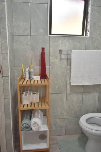 a bathroom with a toilet and a shelf with towels at Tranqulity In Sarnia in Pinetown