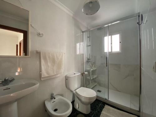 アルダレスにあるLa Reposadaのバスルーム(トイレ、洗面台、シャワー付)