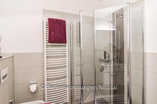 een douche met een glazen deur in een badkamer bij Deichresidenz Stein in Stein