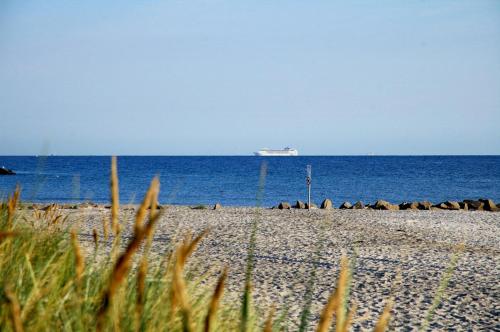a beach with a cruise ship in the ocean at Meerblick Kalifornien in Kalifornien