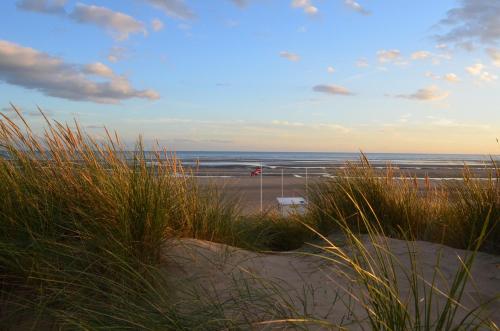 a beach with tall grass and the ocean in the background at Les Dunes in Camber