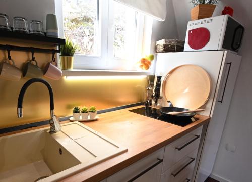 a kitchen with a sink and a counter top at CASA MONTE in Lič