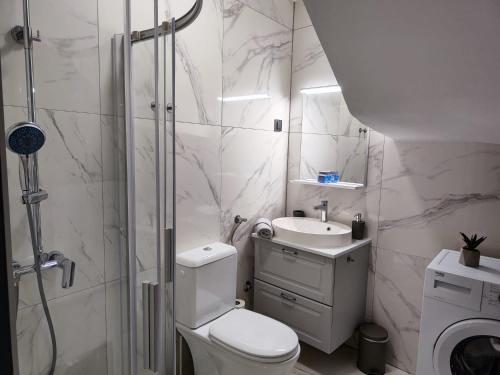 La salle de bains est pourvue d'une douche, de toilettes et d'un lavabo. dans l'établissement Apartment Augustini, à Cres