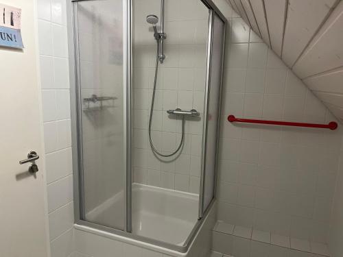 a shower with a glass door in a bathroom at Haus Schönwald in Freiburg im Breisgau
