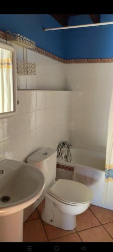 a bathroom with a white toilet and a sink at La casina de castiello in Arriondas