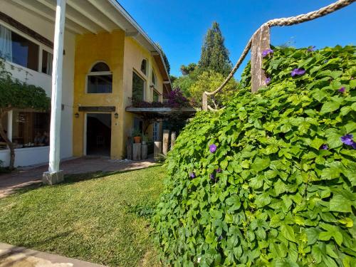 un seto de flores frente a una casa en África Posada en Pinamar