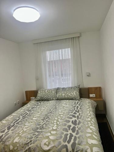 sypialnia z dużym łóżkiem i dużym oknem w obiekcie Apartman Eden w mieście Brczko