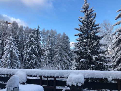 a snow covered yard with a fence and a pine tree at Apartment Humagne - Crans-Montana Center in Crans-Montana