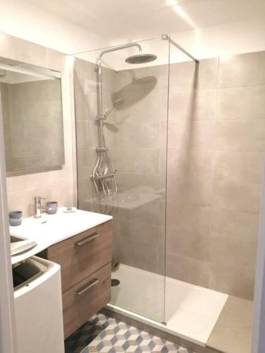 une salle de bain avec douche et lavabo dans l'établissement Le Cosy, proche plage, base nature, tout à pied, à Fréjus