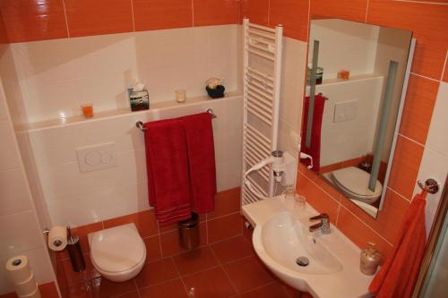 a bathroom with a sink and a toilet and a mirror at Apartman Relax Olomouc in Olomouc