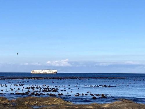 a large group of birds in the water at Restore your Soul, Boulders Beach, Seaforth, Simon's Town in Simonʼs Town