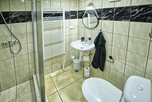 a bathroom with a sink and a toilet and a shower at Chaloupka víno sklep U Palečků in Zaječí