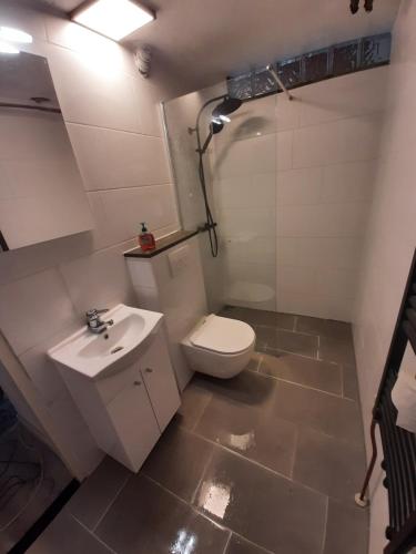 a bathroom with a toilet and a sink at Stern in Bruinisse