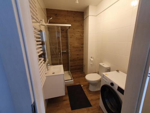 y baño con aseo, lavabo y ducha. en Apartament Skarbowa en Leszno
