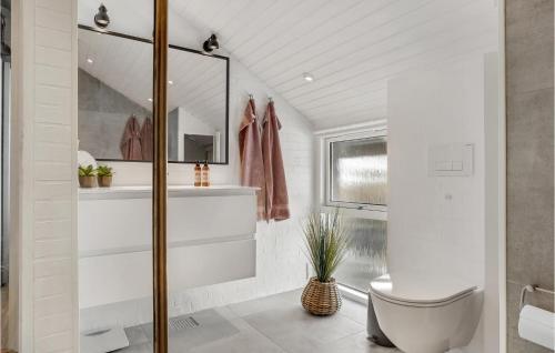 a white bathroom with a toilet and a sink at Awesome Home In Thisted With 3 Bedrooms And Wifi in Nørre Vorupør