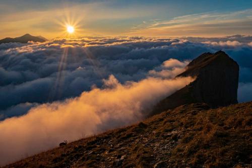 a view of a mountain with the sun above the clouds at Ferienhus Klus 415 in Mellau