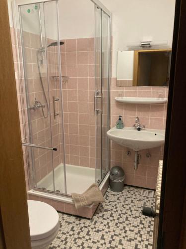 ein Bad mit einer Dusche, einem WC und einem Waschbecken in der Unterkunft Bed & Breakfast Weisser Stein in Schmallenberg