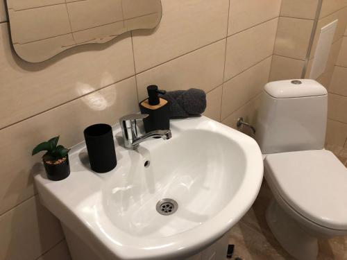 ein Badezimmer mit einem weißen Waschbecken und einem WC in der Unterkunft Superb apartment Free Underground Parking in Pasardschik