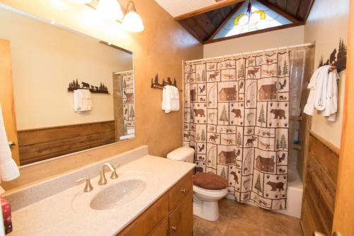 uma casa de banho com um lavatório, um WC e um chuveiro em Our Red River Cabin With High Speed Wifi em Red River