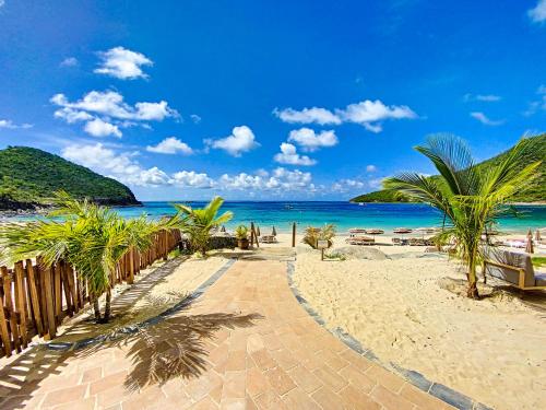 a pathway to the beach with palm trees and the ocean at Acacia Tropical, luxurious Duplex, walkable beach in Anse Marcel 