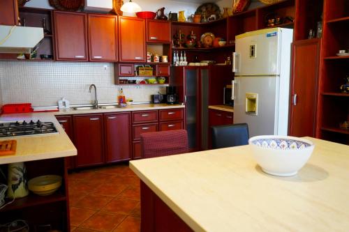 Η κουζίνα ή μικρή κουζίνα στο Vila Sohodol Travel