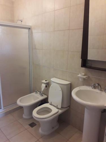 een badkamer met een toilet en een wastafel bij LOS CALDENES in Trapiche