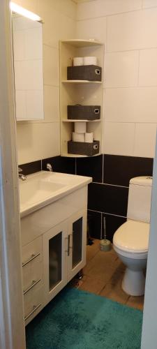 a bathroom with a sink and a toilet and a mirror at Koskela in Kalajoki