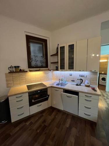 een keuken met witte kasten, een wastafel en een aanrecht bij Folimanka apartment in Praag