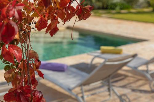 a chair next to a swimming pool with red leaves at Dimora Dei Semplici in Ostuni