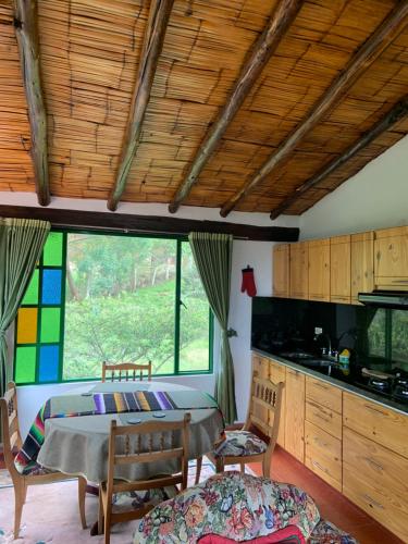 Kuchyň nebo kuchyňský kout v ubytování Hotel Rokas de Suesca