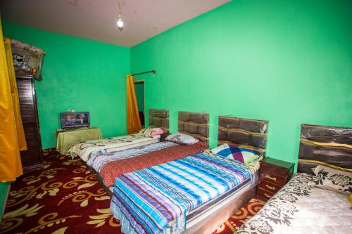 a bedroom with two beds and green walls at La belle vue in Daher
