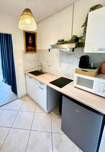 une cuisine avec un comptoir et Elle comprend un four micro-ondes. dans l'établissement 'Cap Confession' - Naturiste - Sea View - Beach - Parking -Air Conditionaire, au Cap d'Agde