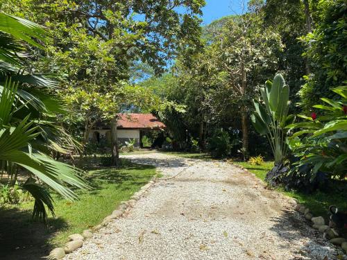 a dirt road in front of a house with trees at Salvia Madre Hotel Boutique in Guachaca