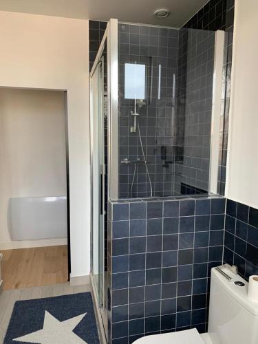 uma casa de banho com um chuveiro de azulejos azuis e um WC. em Joli appartement proche de Paris em Boulogne-Billancourt