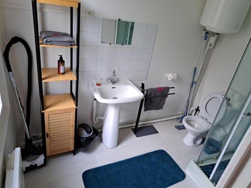 La salle de bains est pourvue d'un lavabo et de toilettes. dans l'établissement Vacance solidaire appartement, à La Souterraine
