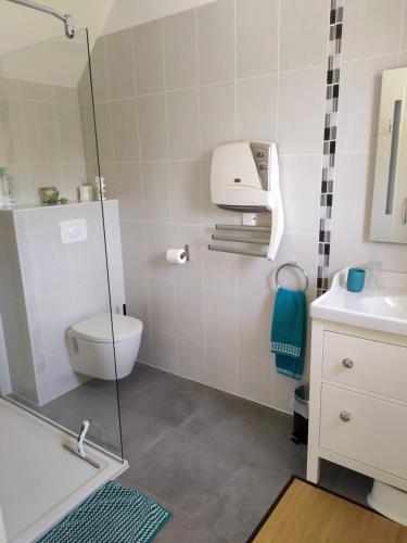 uma casa de banho com um chuveiro, um WC e um lavatório. em Le Clos Marie em Sausseuzemare-en-Caux