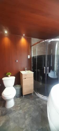 a bathroom with a toilet and a glass shower at Glamping y Cabañas el Encanto los Lirios in Tota