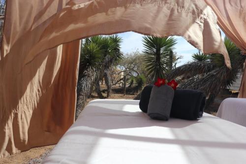 a bed in a tent with two bags on it at EXPERIENCE in Pescadero