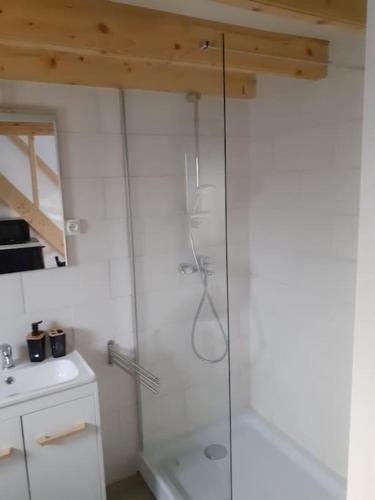 a glass shower in a bathroom with a sink at Logement entier: Un air d' évasion à Saint Pardon in Vayres