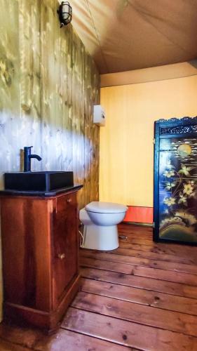 une salle de bain avec un lavabo et des toilettes dans l'établissement Orbis Boussagues, à La Tour-sur-Orb