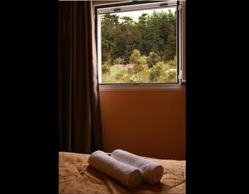 A bed or beds in a room at Porofarago