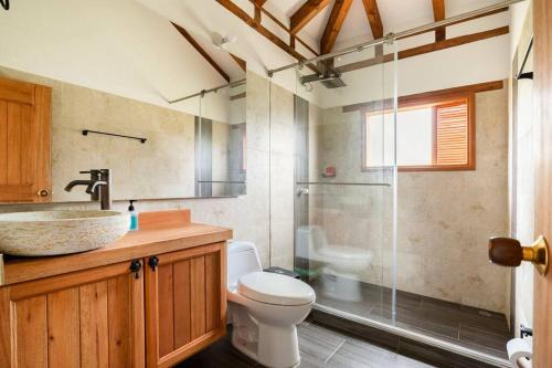 ein Bad mit einem WC, einem Waschbecken und einer Dusche in der Unterkunft La villa de san Juan in Villa de Leyva